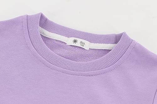 Toddler Crewneck Sweatshirts Solid Pullover Tops for Girls or Boys2
