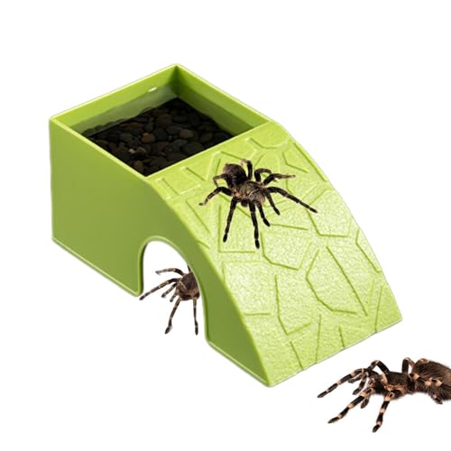 Drachen- Futterstation- Reptilien- Wasserbecken- Höhle, 2- in- 1- Futterraum, Harz- Konstruktion, natürliche Felsstruktur, Design, ideal für Bartagamen, Geckos, Chamäleons, Frösche, Spinnen, Garnelen
