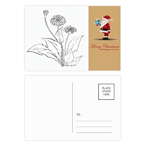 Cartes postales Père Noël originales en noir et blanc à offrir ou à envoyer