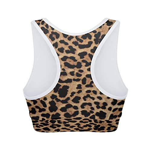 For U Designs Leopard Print Sports Bras For Women High Impact Underwear Yoga Bras Padded Sports Bras Workout Bras Racerback Bras For Running Fitness,Brown #TOP1