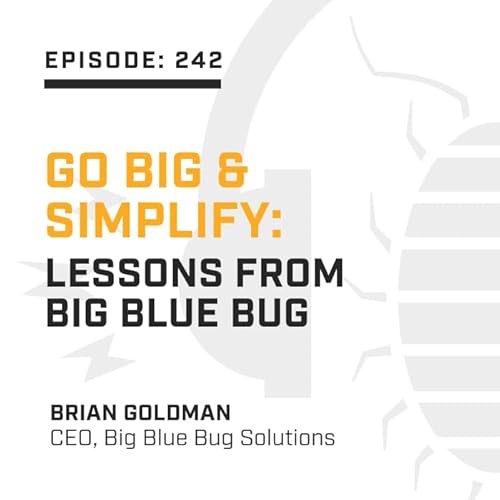Episode 242: Go Big & Simplify: Lessons from Big Blue Bug