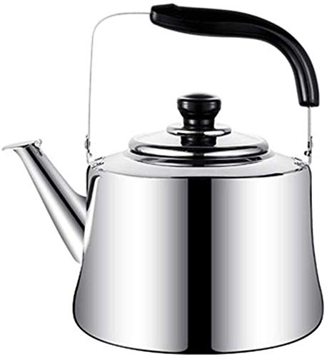 Théière en acier inoxydable SHISHI durable avec fond plat de qualité