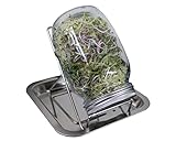 CULTIVE ALIMENTOS SALUDABLES Y NUTRITIVOS EN CASA. Todo lo que necesitas son semillas / frijoles y agua para cultivar tus propios brotes en casa. Este kit de jarra de germinación contiene 2 jarras de vidrio de 1000 ml con tapas y pantallas de acero inoxidable, 2 soportes y una bandeja para el agua de drenaje.