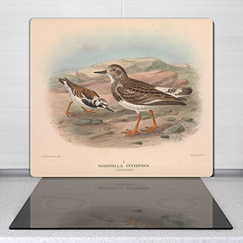 Verre de sécurité induction 60x52cm planche à découper robuste imprimé oiseaux - 3