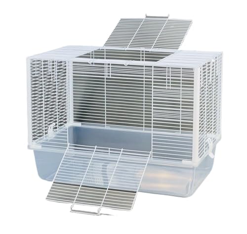 psP[W IEP[W JiA uo[h IJCRp lbgt