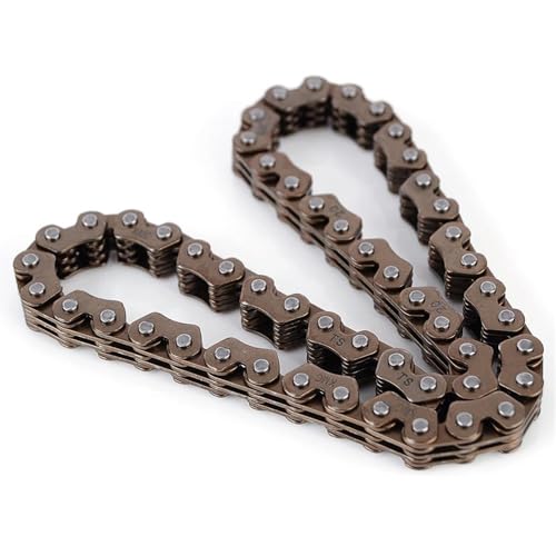 Chaîne de came haute résistance pour TRX400 et Sportrax