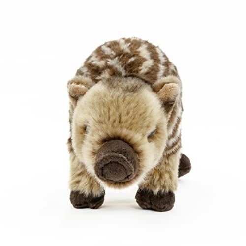 Teddys Rothenburg Kuscheltier Wildschwein Frischling 25 cm