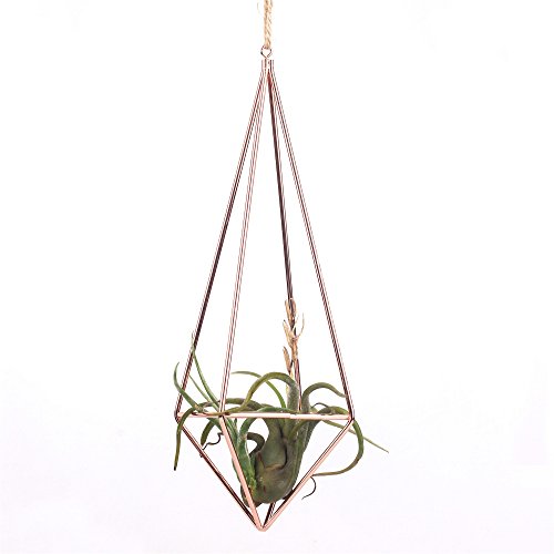 NCYP Rustic Style Freestanding Wall Hanging Quadrilateral Pyramid Shape Geometric Metal Tillandsia Air Plants Rack Holder Rose Gold 10inches Height No Plants