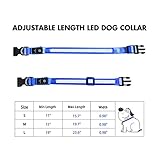 Leuchthalsband Hund, Hundehalsband Leuchtend Aufladbar, LED Halsband für Hunde Leuchtband Einstellbar Wasserdicht mit 3 Lichtmodi Sicherheit für Kleine Mittlere Große Hunde, Blau S