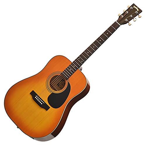 Amazon.co.jp: Headway HD-25 VHB アコースティックギター ヘッド