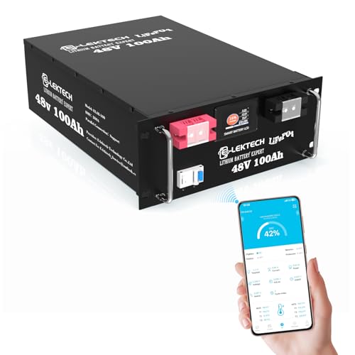 48V 100Ah LiFePO4 Battery with APP & BMS