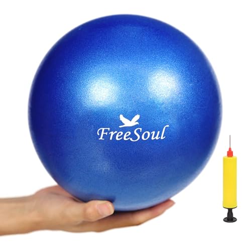 Small Pilates Ball with Pump 9 Inch Mini Yoga Ball for Stability Pilates Yoga Barre Physical Therapy Core Training