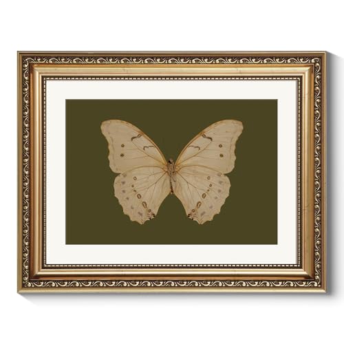 ARPEOTCY Vintage Gold Framed Wall Art, Classical White Butterfly Paintings, Dark Moody Green Canvas Prints Artwork with Frame, Victorian Wall Decor for Living Room Bathroom Bedroom 11x14 inch