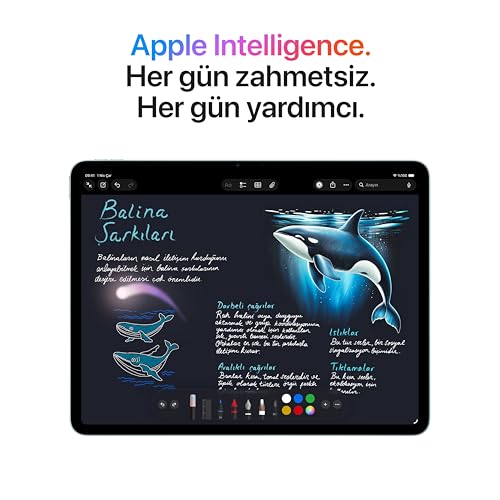 Apple iPad Air 13 inç (M4): Liquid Retina Ekran, 128 GB, 12 MP Ön/Arka Kamera, Apple N1 ile Wi-Fi 7 — Uzay Grisi