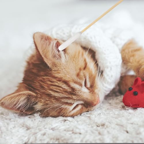 DASHUAIGE 120 STK Ohrreinigung für Hunde Holz Haustiere Ohrreiniger Ohrreinigungsstäbchen Haustier Lang Wattestäbchen Hunde Wattestäbchen für Haustiere, Katze, Hund, 15 cm