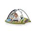 Mamas & Papas MAGIC Stargaze Playmat & Gym