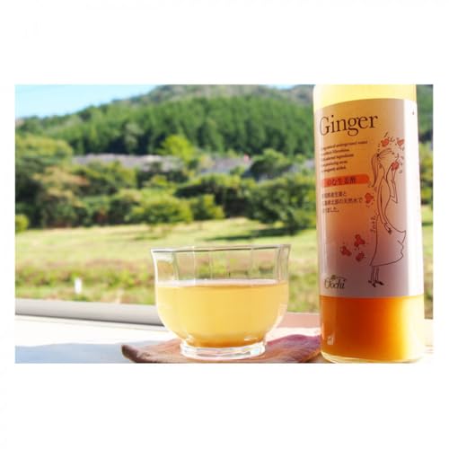 [化粧箱入]3倍濃縮タイプのむ酢セット(檸檬・柚子・生姜)200ml×5本