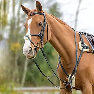 BLESSING PET SUPPLY Horse Riding Gears And Track Set(Martigle)Five Point Breastplate (B0CV1B6V2R) Amazon Price History, Amazon Price Tracker