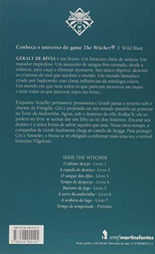 A Senhora do lago - The Witcher - A saga do bruxo Geralt de Rívia (Capa game): A saga do bruxo Geral