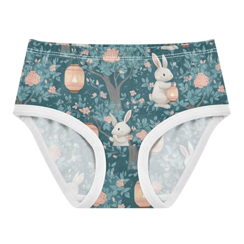 Wusikd Bunnie Girls' Underwear Cotton Cute Girls Briefs Soft Toddler Underwear 2T