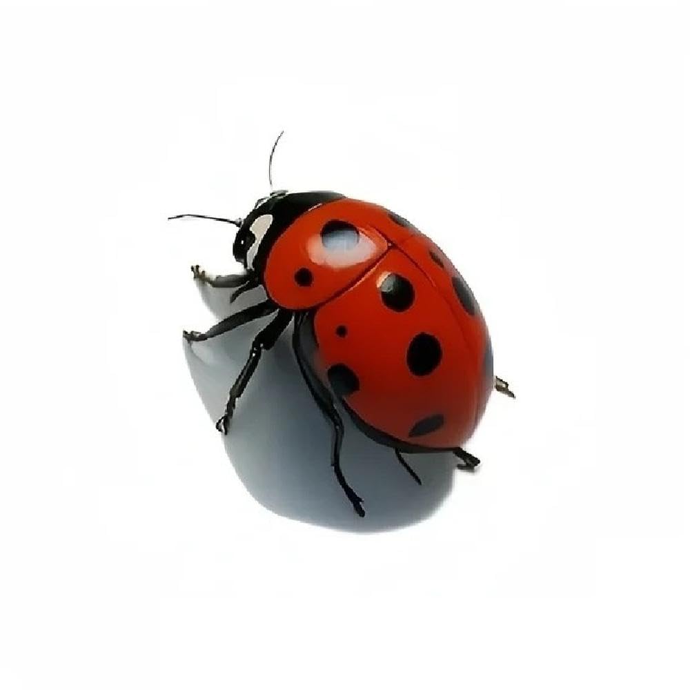 Ladybug Vinyl Sticker Waterproof Anti Scratch Decal for Car Truck Motorcycle