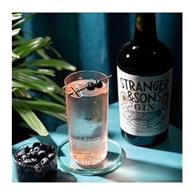 Stranger & Sons Gin, Premium Indian Spirited Aromatic Citrussy Dry Gin – 42.8% ABV, 70cl – Stranger & Sons