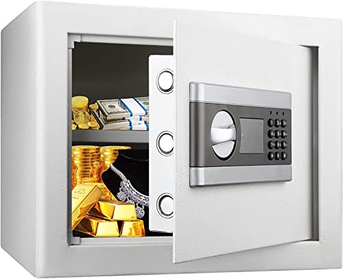 Armoire ignifuge CLSDRZC pour mettre à l'abri vos espèces et objets précieux du feu