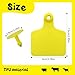 100 Pieces Blank Cattle Ear Tags with Pliers,TPU Blank Animal Identification Livestock Ear Tags for Cattle Cow Horse Pig Goat Sheep (Yellow)