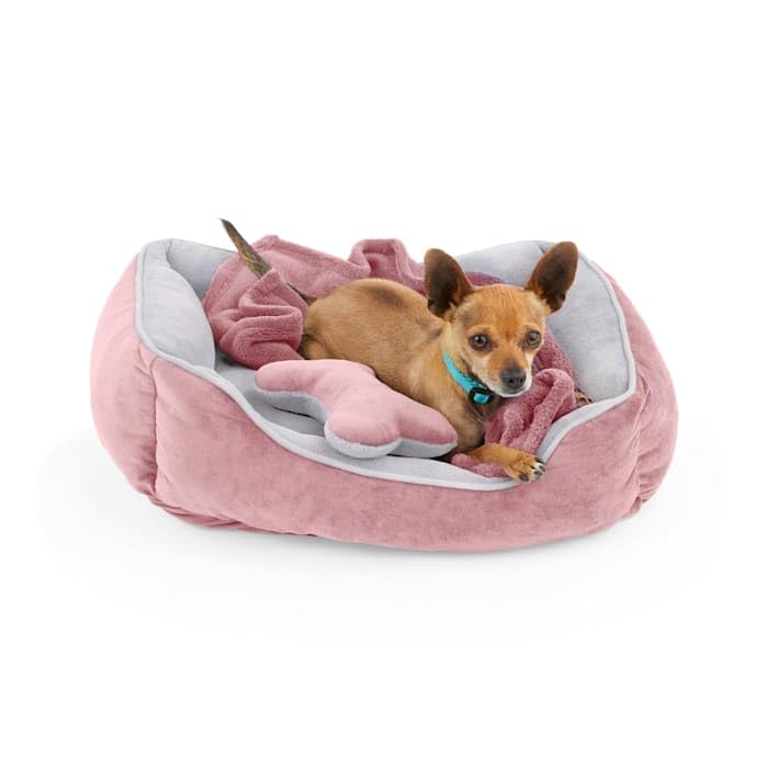 EveryYay Essentials Dog Bed Bundle 22 L X 18 W X 6 5 H Small Pink