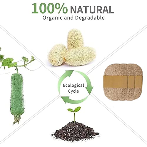 Halatua 3 spugne in luffa per piatti - 3 spugne in...