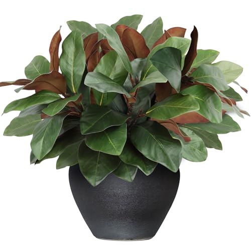 N&T NIETING 6 Pcs Faux Magnolia Stems, 22 Inch Artificial Magnolia Leaves Branches Greenery Stems Pick Fake Magnolia Leaf Twigs for Vase Filling Home Farmhouse Table Centerpiece Decor by N&T NIETING - Used condition - Image 4