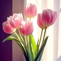 Bulbi Di Tulipano Olandesi - Per Decorazione Giardino E Fioriere - Foto 9