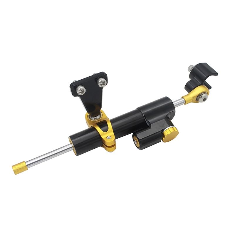 Amortisseur de direction moto RS660 pour sécuriser vos sorties sur route et circuit