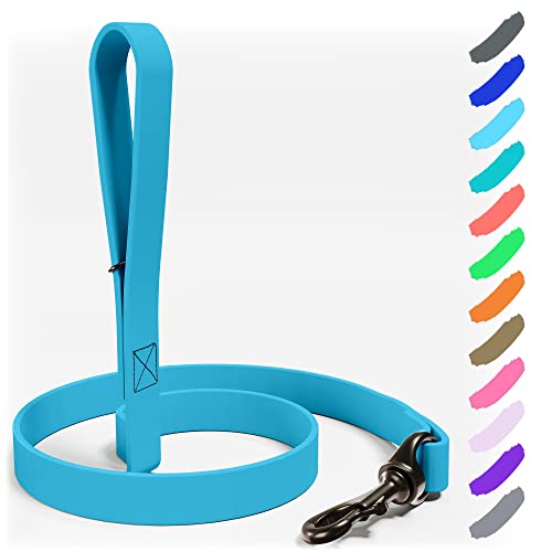NexaPaw Biothane Dog Leash - Extra Heavy Duty, Waterproof for Large, Medium, Small Dogs - 6 Ft Lead