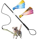 GDuolaPaws Flirt Pole for Dogs,Heavy Duty 4 Pieces Set with 3 Lures,Interactive Teaser Wand for Small Medium Large Pets,Durable Flirt Stick for Chase,Outdoor Tether Play,Exercise,Training