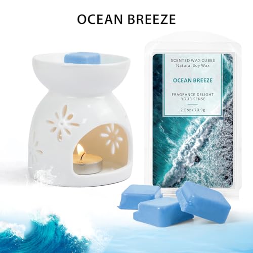 Scentorini Wax Melts Wax Cubes, Soy Wax Cubes thumb #5