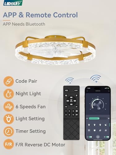 Image of LEDIARY 2-Pack 24 inch Ceiling Fans with Lights, APP & Remote, Gold