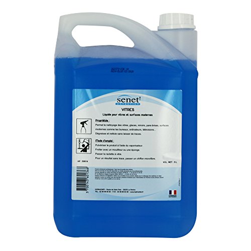 delaisy Kargo 123983 limpiador cristales y Surfaces profesional, 5 L)
