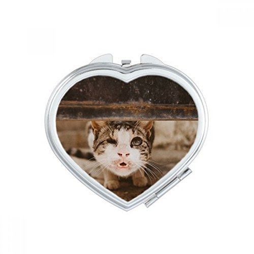 Miroir de poche à la main chat noir mignon cadeau compact