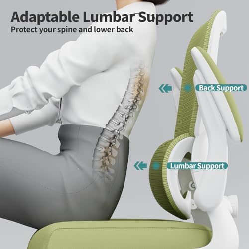 Image of TRALT Office Chair - Ergonomic Desk Chair with Adjustable Lumbar Support, Mesh Computer Chair, Executive Chair for Home Office Comfortable Lumbar Support (1, White Green)