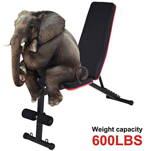 Adjustable Weight Foldable Bench Fitness Equipment, Roman Chair, Full Body Training Workout Sit-Up Incline Bench for Home Gym Exercise Sports, Home Fitness Exercise Equipment Gifts