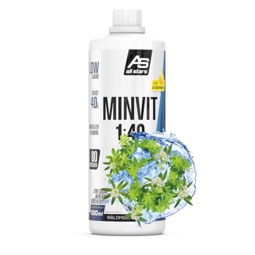 ALL STARS Minvit + L-Carnitin Vitamin Drink Konzentralt 1L Waldmeister - Wertvoller Mineralstoff- und Vitamin Komplex mit Vitamin B1, B6, B12, Enthält Kalium, Magnesium & L-Carnitin