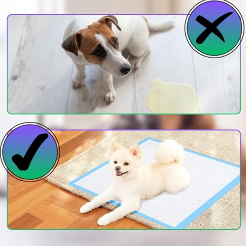 Ale-commerce 50 Stück Trainingspads für Hunde 60 x 90 cm Hundetoilette Inkontinenz Bettunterlage 6-lagiges Design Hundezubehör Schnell Trocknende Welpen Ältere Hunde Saugstarke Wickelunterlage