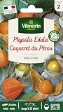Vilmorin Physalis edulis coqueret du Pérou...