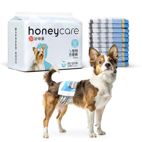 HONEYCARE pނ j̎qp}i[xg z Yh~ R΍ }[LOh~ Ȃ p 36i12×3܁j t