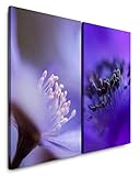 Mit Fine Art Prints von Sinus Art bietet sich eine einfache und wunderbare Möglichkeit Ihre Wohnräume zu gestalten. Verschönern Sie Ihr Wohnzimmer, Schlafzimmer, Kinderzimmer, Küche, Flur, Arbeitszimmer oder Büro und gestalten sie sich Ihr persönliches Wohlfühlambiente.