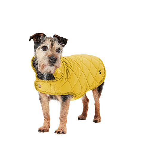 Rosewood Joules Herrenmantel, Rosewood Joules Hundemantel, gesteppt, Marineblau, Größe L