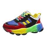 FErolan Schuhe für Männer Frauen Laufschuhe Frauen Herren Walking Tennis Sneakers Regenbogen Homosexuell Schuhe Geschenke,B,42