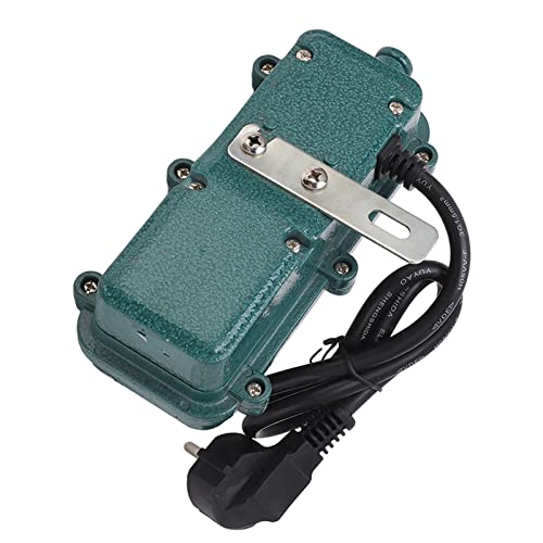 Calentador de coche, calentador de motor multifuncional, calefacción rápida, protección contra sobrecalentamiento, enchufe de la UE 250 V 3000 W, arranque en frío para 1,8-2,5 L RV camión barco