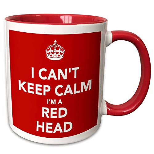 3dRose Two-Tone Mug